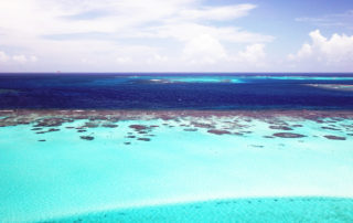 Croisière voilier Grenadines - Charter Tobago Cays