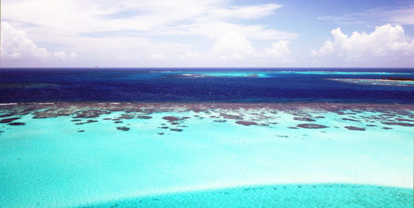 Croisière voilier Grenadines - Charter Tobago Cays