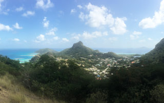 Croisière voilier Grenadines - Charter Tobago Cays