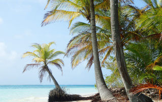 Croisière voilier Panama - Charter San Blas