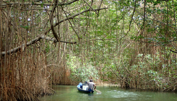 Croisière voilier Panama - Charter San Blas