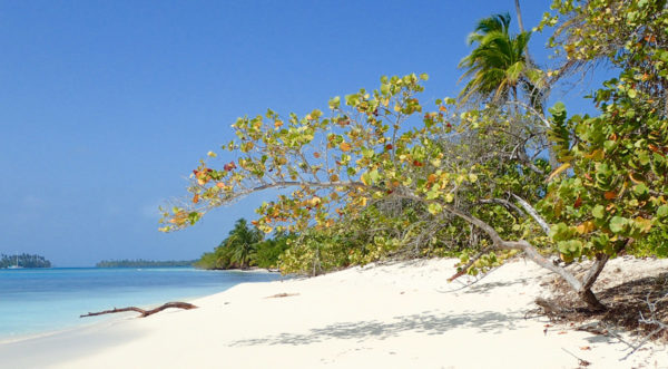 Croisière voilier Panama - Charter San Blas